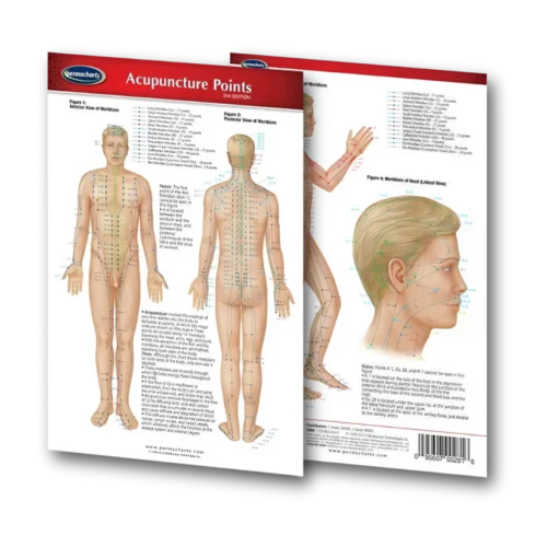 Kaching-Bundles-Use_it_anywhere_on_your_body_1080_x_1080_px_11_3745652f-b072-49fd-9ff2-7f17cfb96c0d Body Point Map (Digital Edition)